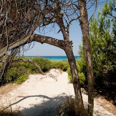 Prázdninový dům Casa Direttamente Sul Mare